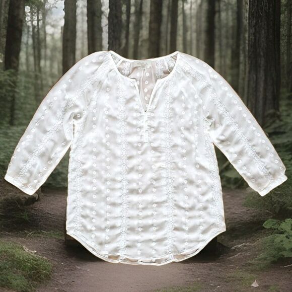Sheer Embroidered Top M Popover 3/4 Sleeve Gauzy Boho Fairy Etherial Coverup - Picture 1 of 16